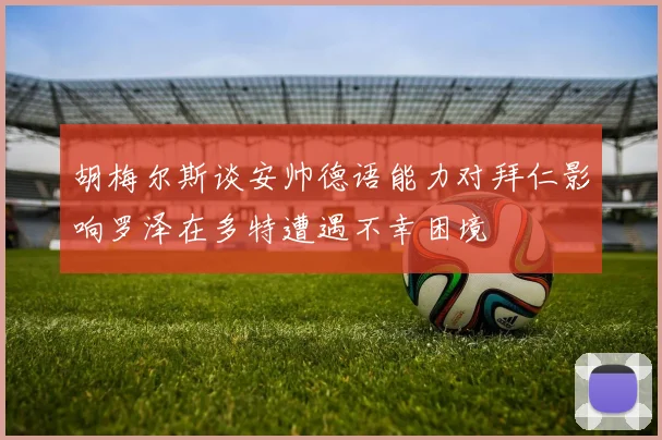 胡梅尔斯谈安帅德语能力对拜仁影响罗泽在多特遭遇不幸困境